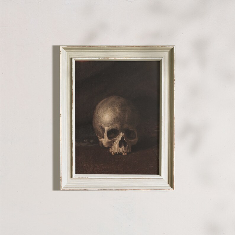 May include: A white human skull in a vintage, white frame. The skull is resting on a dark brown surface. The frame has a distressed, white paint finish.
