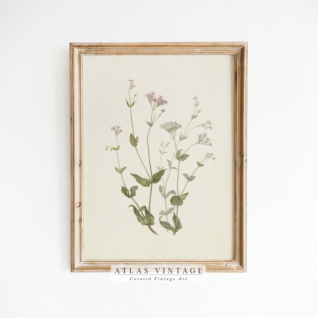 Vintage Botanical Print, Farmhouse Floral Wall Art (digital Download ...