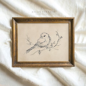 Vintage Bird Sketch Print, Minimalist Spring Printable, Nature Line Drawing, Rustic Farmhouse Beige Decor, Digital Download