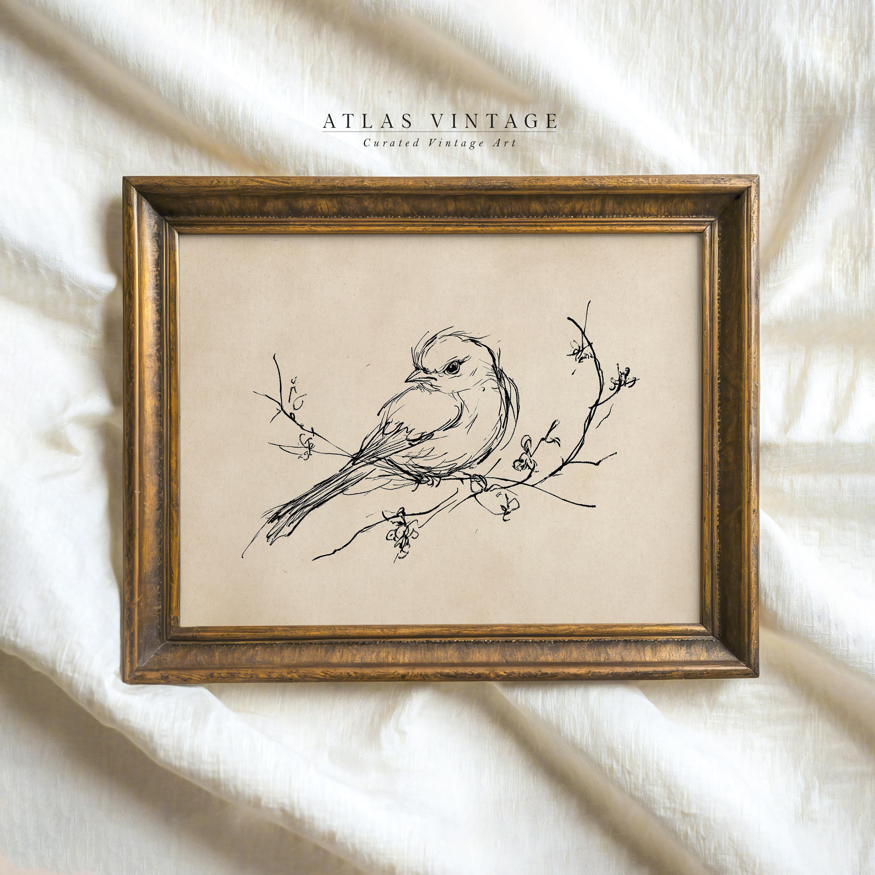 Vintage Bird Sketch Print, Minimalist Spring Printable, Nature