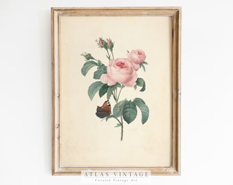 Vintage Rose Print, Pink Floral Sketch, French Country Art (Digital Download)
