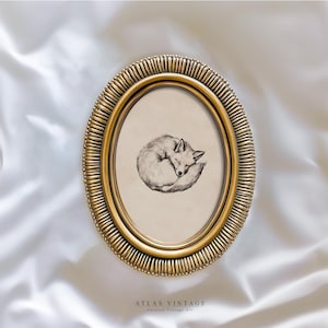 May include: An oval, gold-colored picture frame with a detailed, ridged border. Inside, a black and white sketch of a curled-up fox. The frame sits on a white, textured surface. The text "ATLAS VINTAGE Curated Vintage Art" is at the bottom.