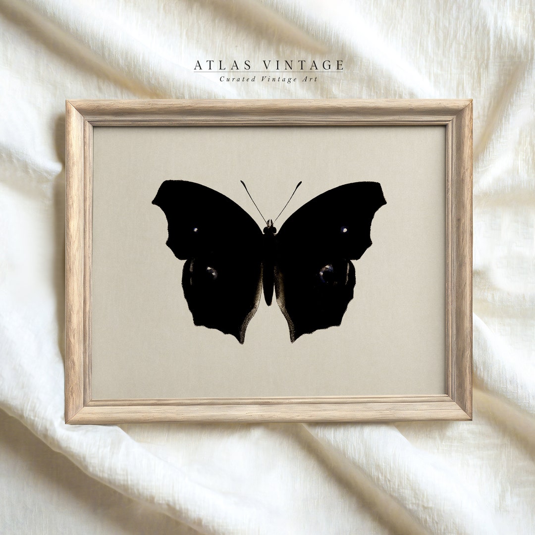 Vintage Black Butterfly Sketch Print Moody Dark Academia Wall Art ...