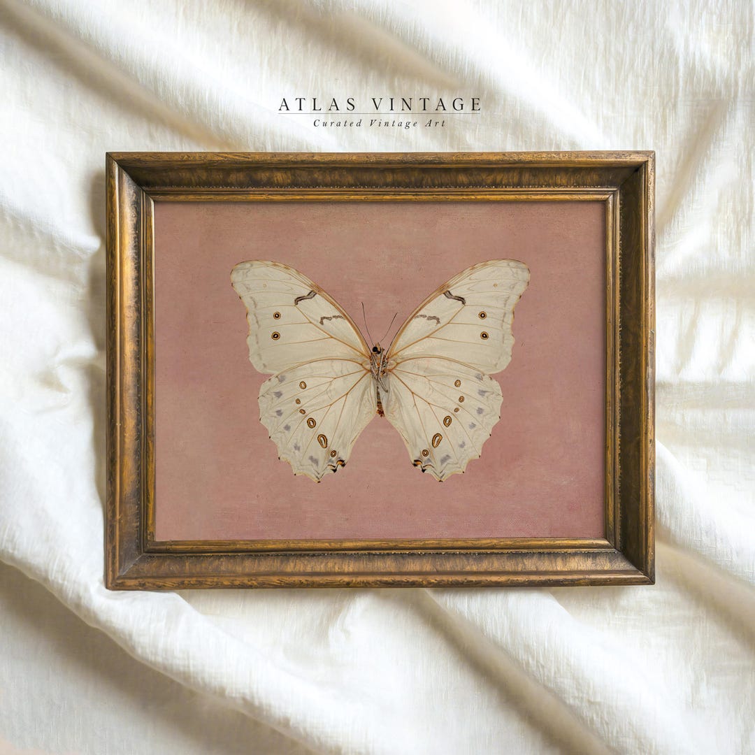 Vintage White Butterfly Print, Neutral Moody Insect Printable Wall Art, Farmhouse Pink Decor, Antique Moth Painting Digital Prints
