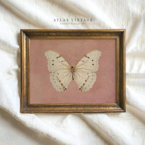 Vintage White Butterfly Print, Neutral Moody Insect Printable Wall Art, Farmhouse Pink Decor, Antique Moth Painting Digital Prints