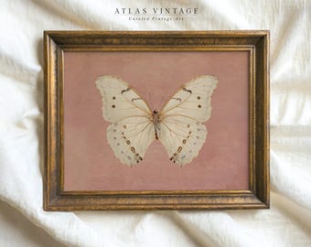Vintage White Butterfly Print, Neutral Moody Insect Printable Wall Art, Farmhouse Pink Decor, Antique Moth Painting Digital Prints