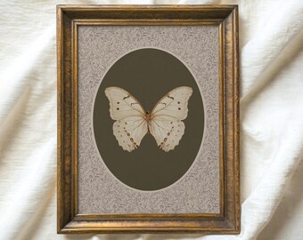 Vintage Butterfly Print, Botanical Insect Wall Art, Cottagecore Decor (Digital Download)