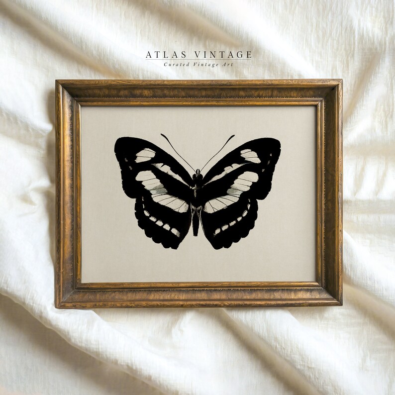 Vintage black butterfly sketch print for dark academia decor
