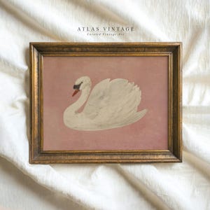 Vintage White Swan Print, Neutral Moody Bird Printable Wall Art, Farmhouse Pink Decor, Antique Swan Painting Digital Prints