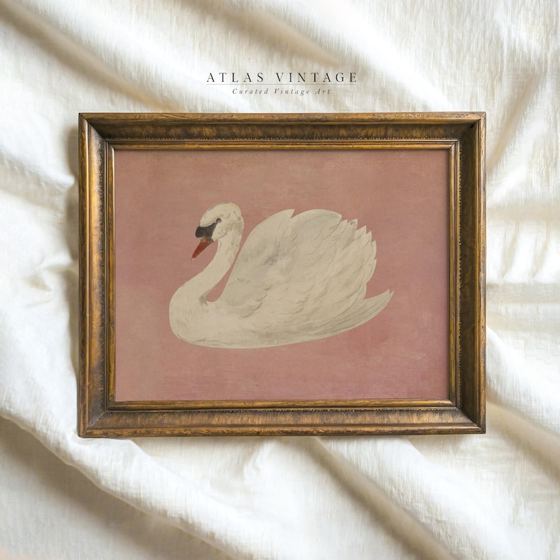 Vintage white swan illustration with moody neutral tones.