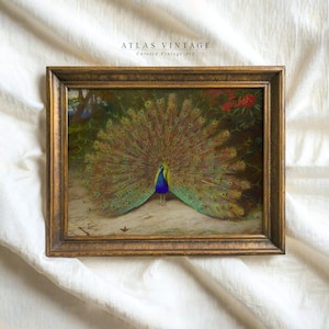 Vintage Colorful Peacock Painting | Antique Bird Oil Painting Print | Farmhouse & Cottagecore Printable Wall Art | Digital Download