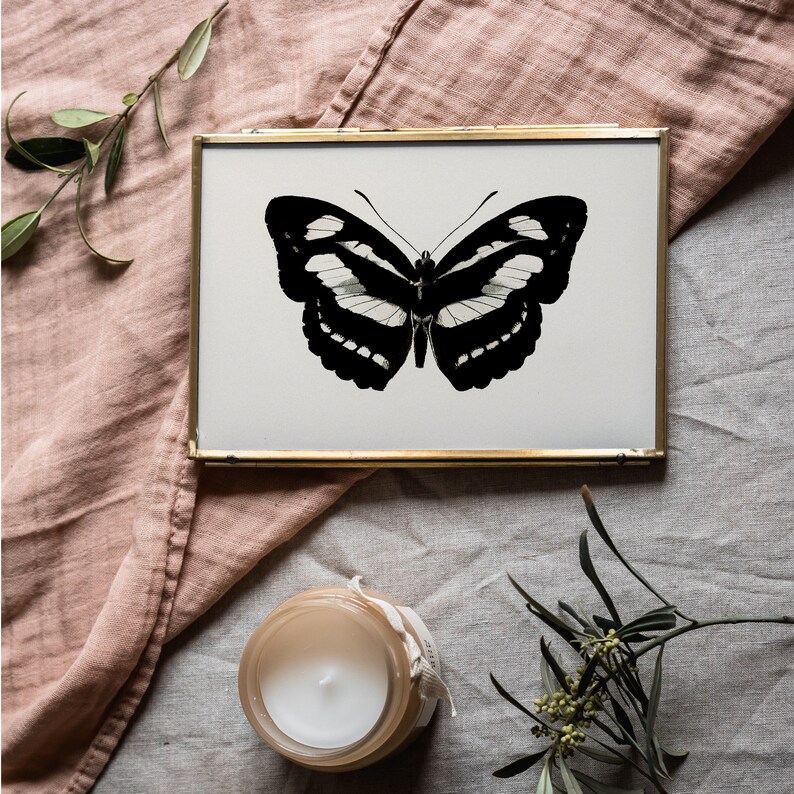 Digital download decor with gothic butterfly sketch