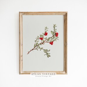 Vintage Winter Berry Print | Antique Christmas Botanical Painting | Rustic Farmhouse Wall Decor Digital | French Country Printable Wall Art