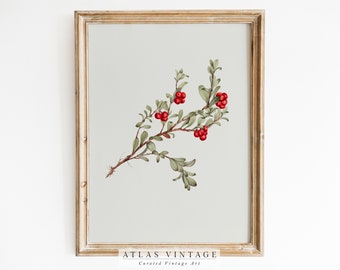 May include: A framed botanical print featuring a branch with red berries and green leaves. The artwork is set against a light gray background and framed in a gold-toned wooden frame. The text "ATLAS VINTAGE Curated Vintage Art" is at the bottom.