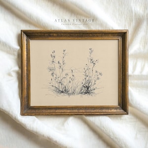 May include: A black and white line drawing of wildflowers in a gold frame. The drawing is on a cream background. The text "ATLAS VINTAGE Curated Vintage Art" is at the top of the frame.