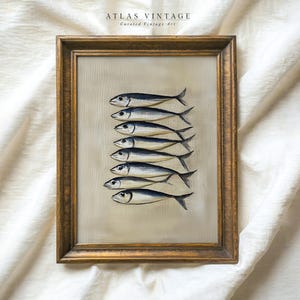 Vintage Küsten Sardine Fisch Ölgemälde Druck, rustikale Strandhaus druckbare Wandkunst, nautische Küche Sommer Dekor, digitaler Download