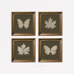 Vintage Herbst Set 4 quadratische druckbare Wandkunst, Herbst Galerie-Wand-Set, Ahornblatt & Schmetterling Malerei Digitaldruck, Salbei-Wand-Dekor