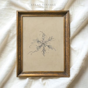 Puede incluir: Obra de arte enmarcada con un dibujo a tinta negra de un copo de nieve sobre un fondo beige. La obra de arte está en un marco dorado. El texto "ATLAS VINTAGE Curated Vintage Art" está en la parte superior de la imagen.