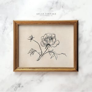 Hand-drawn botanical print in a timeless black-and-white design