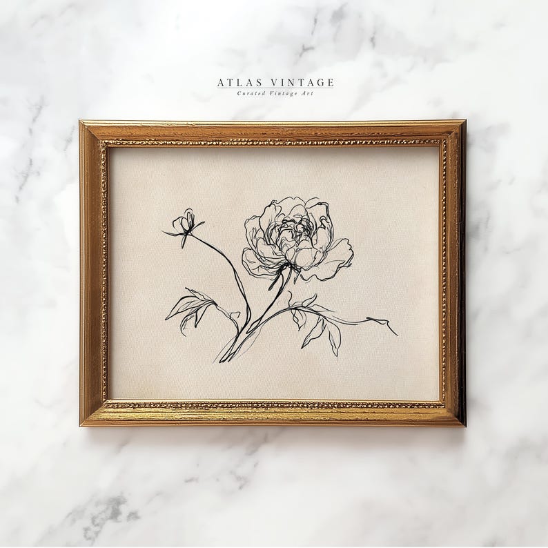 Hand-drawn botanical print in a timeless black-and-white design