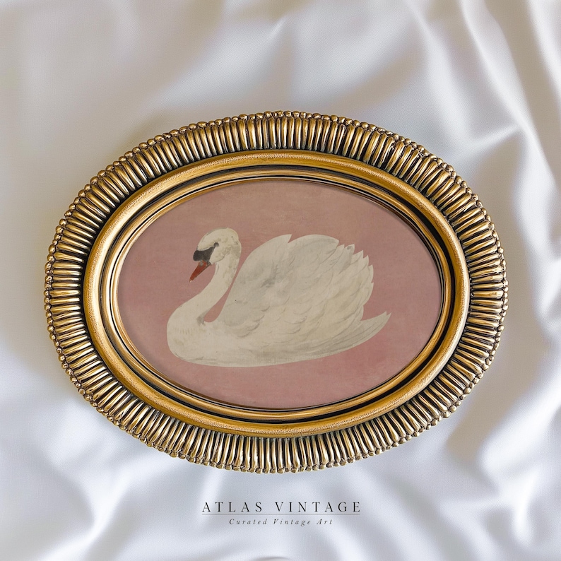 Digital download of a serene swan in a Victorian-inspired setting.