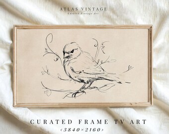 Vintage Bird Sketch Frame Tv Art, Minimalist Spring Line Drawing Samsung Frame Tv, Summer Sketch Screensaver, Rustic Farmhouse Beige Decor