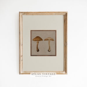 Mushroom Wall Print | Vintage Fall Painting | Digital Kitchen Wall Decor | Antique Autumn Printable Wall Art | Rustic Farmhouse Art Print