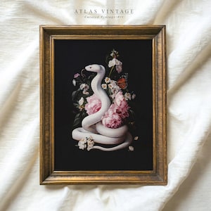 Puede incluir: Una impresión enmarcada de una serpiente blanca enroscada alrededor de flores rosas sobre un fondo negro. La impresión está en un marco dorado y tiene el texto "ATLAS VINTAGE Curated Vintage Art" en la parte superior.