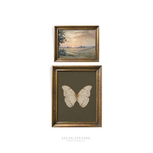 May include: Two framed prints, one with a landscape painting of a sunset over a field and the other with a white butterfly on a dark green background.