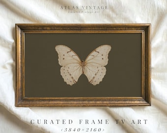 Vintage Butterfly Samsung Frame TV Art, Cottagecore Insect Painting (Digital Download)
