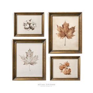 Vintage Herbst Set von 4 druckbare Wandkunst, Herbst Galerie-Wand-Set, Ahornblatt Skizze Wand-Dekor, Kürbis Malerei Digitaldruck