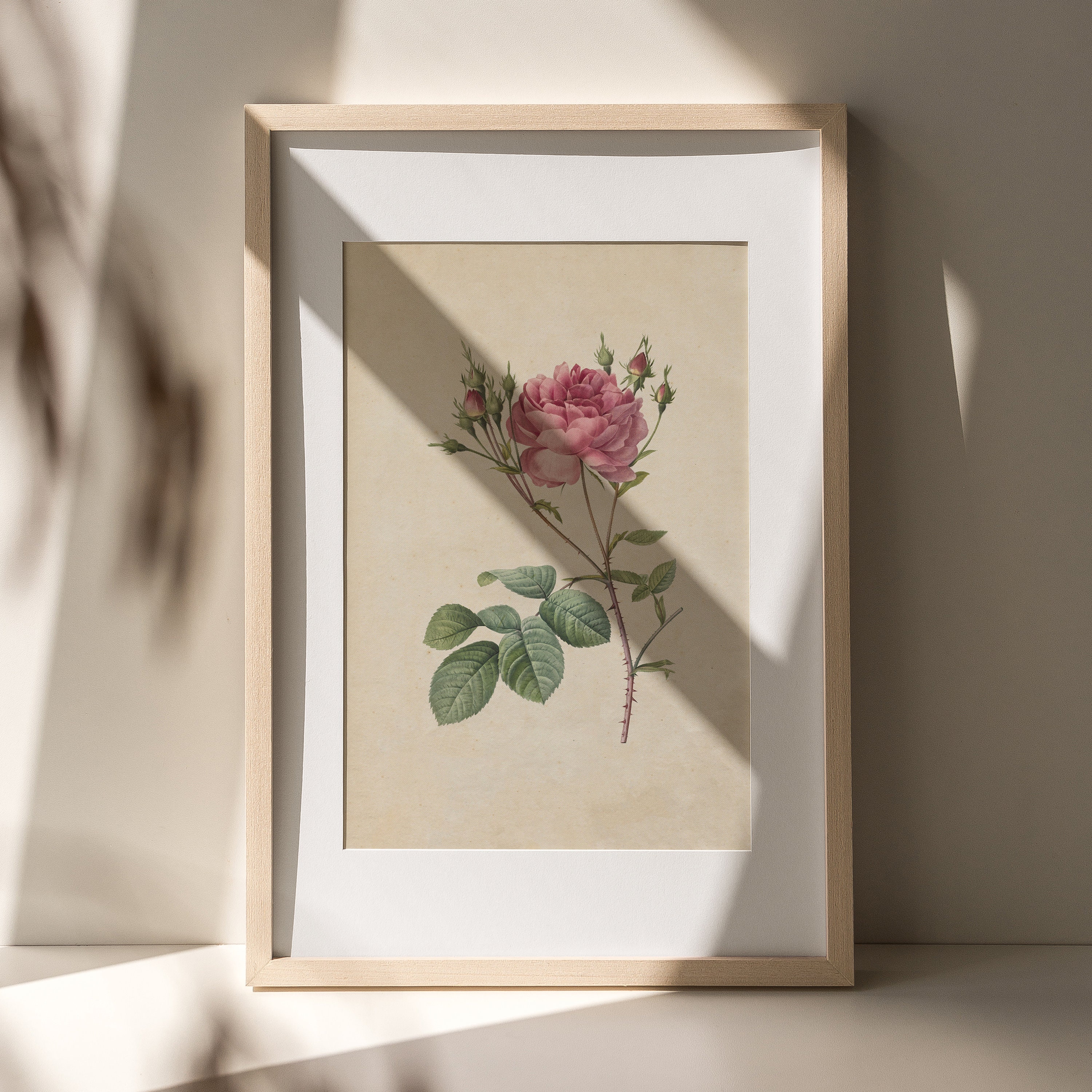 Vintage Floral Wall Art, Antique Rose Print, Pink Flower Sketch ...