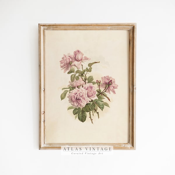 Vintage Floral Print, Antique Rose Printable Wall Art, Pink Flower Sketch, Botanical Farmhouse Décor, Spring French Country Digital Art