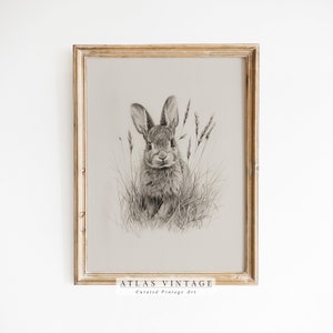 Pode incluir: Desenho a lápis a preto e branco emoldurado de um coelho sentado na erva alta. A obra de arte está numa moldura dourada e apresenta o texto "ATLAS VINTAGE Curated Vintage Art" na parte inferior.