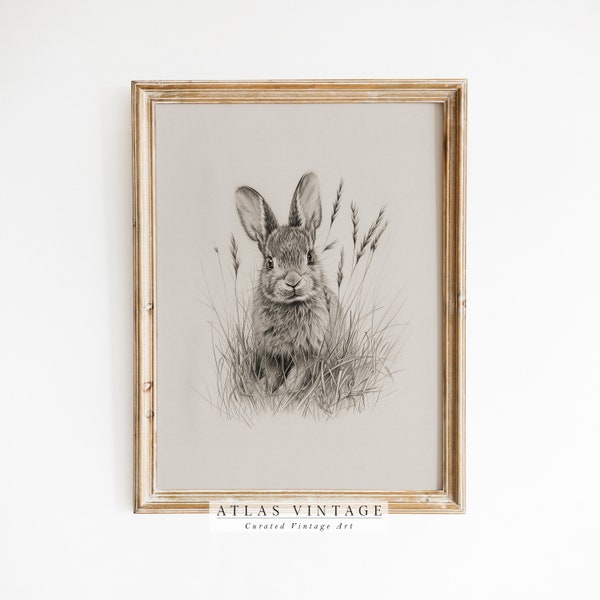 Vintage Osterhase Druck, Land Bauernhaus druckbare Wandkunst, antike Kaninchen Skizze Zeichnung, rustikale Osterdekor, digitaler Download