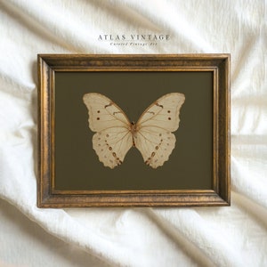 Impression papillon blanc vintage, art mural imprimable insectes sombres maussades, cottagecore vert saige déco numérique, peinture antique mite