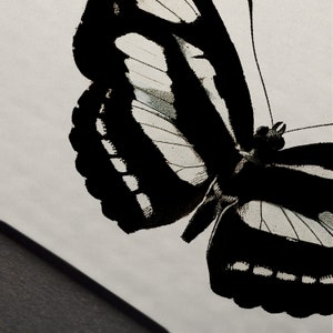 Moody insect art with gothic moth illustration