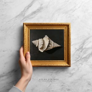 Vintage Seashell Print, Neutral Shell Painting Printable Wall Art, Coastal Summer Beach House Decor, Rustic Cottagecore Art Digital Download