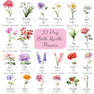 Flores PNG del mes de nacimiento, paquete de flores PNG de acuarela, clipart de flores de nacimiento, clipart botánico, fondo transparente, uso comercial