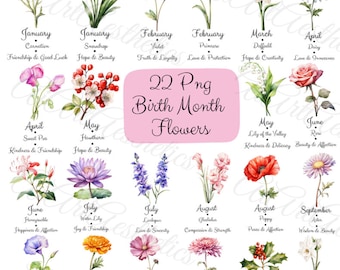 May include: A chart with watercolor illustrations of flowers representing each month of the year. Each flower is labeled with its name, month, and a short description. The chart is titled "22 Png Birth Month Flowers".
