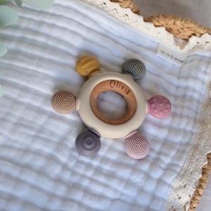 Pu&ograve; includere: Un anello da dentizione in legno con un anello esterno in silicone bianco e cinque diversi attacchi in silicone testurizzati in tonalit&agrave; di viola, rosa, marrone e giallo. L'anello &egrave; inciso con il nome "Olivia".
