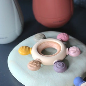 Pu&ograve; includere: Un anello di legno beige con cinque attacchi in silicone di diversi colori. Gli attacchi includono un anello testurizzato giallo, un vortice viola, un cerchio testurizzato marrone, un cerchio testurizzato rosa e un cerchio testurizzato verde.