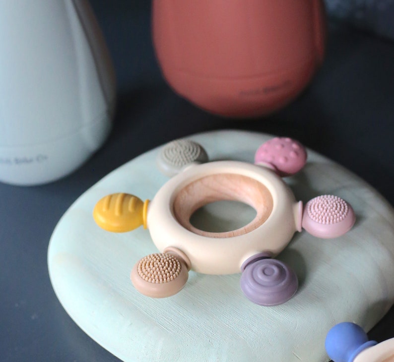 Pu&ograve; includere: Un anello di legno beige con cinque attacchi in silicone di diversi colori. Gli attacchi includono un anello testurizzato giallo, un vortice viola, un cerchio testurizzato marrone, un cerchio testurizzato rosa e un cerchio testurizzato verde.
