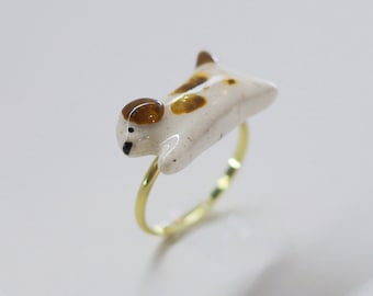 Colorful Ceramic Dog Rings with Adjustable Metal Band