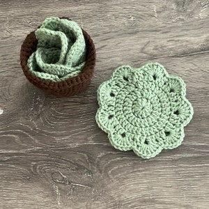 Sukkulenten Untersetzer Set