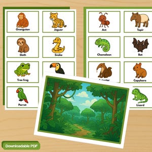 Educatieve kaarten – Jungledieren (vroege kinderjaren en kleuters) – Downloadbare PDF