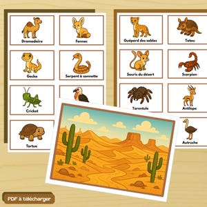 Cartes éducatives – Animaux du désert (Petite enfance & préscolaire) – PDF à télécharger