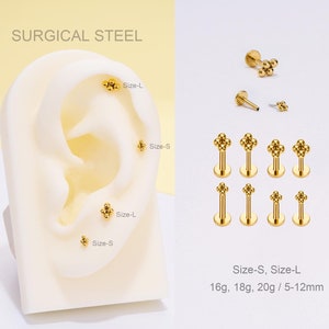 20G/18G/16G Chirurgenstahl Gold Kleine Vier Perlen THREADLESS Push Pin Labret/Flat Back Ohrring/Tragus/Helix/Conch Knorpel Bolzen/Nasen Piercing