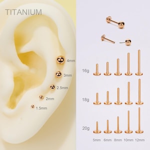 20G/18G/16G Titanium Rose Gold Ball Stud Push Pin Labret/Threadless Flat Back Earring/Tragus Stud/Helix Stud/Cartilage Stud/Nose Stud/Conch