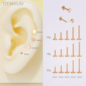 Piercing de titanio de 20 g, 18 g y 16 g con forma de disco en oro rosa, con pasador de presión, para labio, sin rosca, con parte trasera plana, para nariz, cartílago, trago, hélix y caracola.
